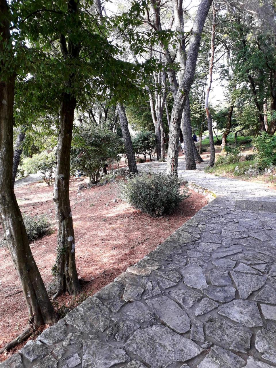 Apartments And Rooms Haludovo - Ribarsko Selo Malinska Zewnętrze zdjęcie